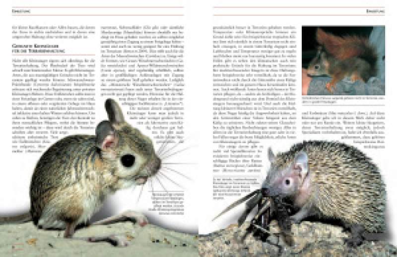 Preview: Kleinsäuger im Terrarium